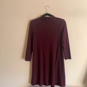 A long sleeve short dress with a short and loose turtleneck.